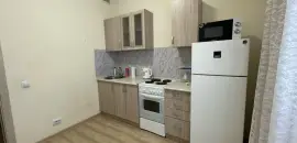 однокомнатная квартира в Ленинградской области по адресу: Пражская ул., 4