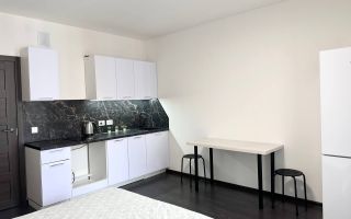 студия в Санкт-Петербурге по адресу: Будённого проспект, 21, к 1