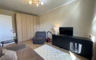 однокомнатная квартира в Санкт-Петербурге по адресу: Дальневосточный проспект, 46/28