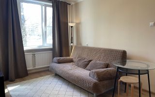 однокомнатная квартира в Санкт-Петербурге по адресу: Дальневосточный проспект, 46/28