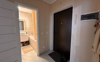 однокомнатная квартира в Ленинградской области по адресу: Европейский проспект, 14, к 6