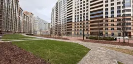 коммерция в Санкт-Петербурге по адресу: Коломяжский проспект, 13, к 2, строение 1