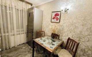 однокомнатная квартира в Санкт-Петербурге по адресу: Лёни Голикова ул., 2