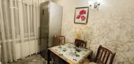 однокомнатная квартира в Санкт-Петербурге по адресу: Лёни Голикова ул., 2