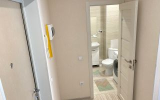 студия в Ленинградской области по адресу: Новая ул., 15