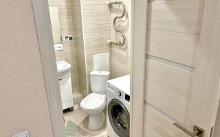 студия в Ленинградской области по адресу: Новая ул., 15