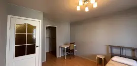 однокомнатная квартира в Санкт-Петербурге по адресу: Лёни Голикова ул., 2
