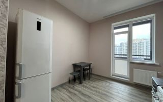 двухкомнатная квартира в Ленинградская область по адресу: Строителей проспект, 1, к 1