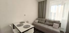 однокомнатная квартира в Ленинградской области по адресу: Екатерининская ул., 17