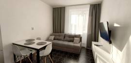 однокомнатная квартира в Ленинградской области по адресу: Екатерининская ул., 17