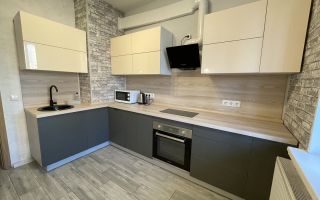 однокомнатная квартира в Ленинградской области по адресу: Центральная ул., 50, к 1