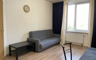 однокомнатная квартира в Ленинградской области по адресу: Центральная ул., 50, к 1