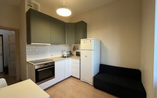 однокомнатная квартира в Ленинградской области по адресу: Воронцовский б-р., 20, к 3