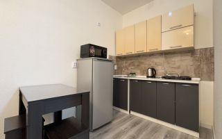 однокомнатная квартира в Ленинградской области по адресу: Первых ул., 4, к 3