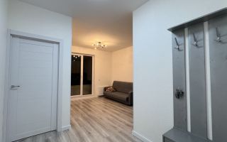 однокомнатная квартира в Ленинградской области по адресу: Первых ул., 4, к 3