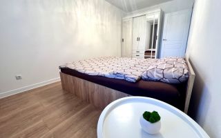 однокомнатная квартира в Ленинградской области по адресу: Екатерининская ул., 19