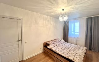 однокомнатная квартира в Ленинградской области по адресу: Екатерининская ул., 19