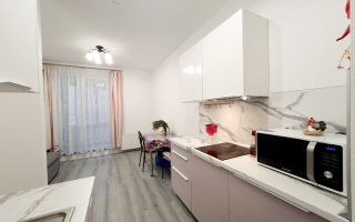 однокомнатная квартира в Санкт-Петербург по адресу: Плесецкая ул., 28, к 1