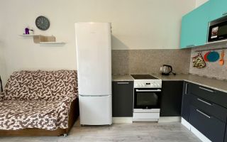 однокомнатная квартира в Ленинградской области по адресу: Тюльпанов ул., 1