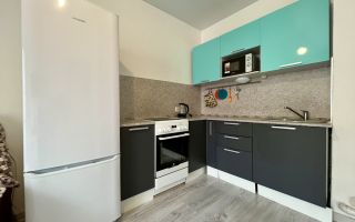 однокомнатная квартира в Ленинградской области по адресу: Тюльпанов ул., 1