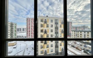 однокомнатная квартира в Ленинградской области по адресу: Тюльпанов ул., 1