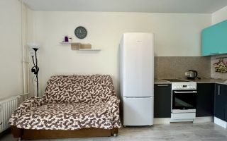 однокомнатная квартира в Ленинградской области по адресу: Тюльпанов ул., 1