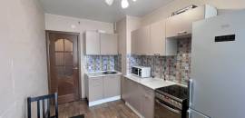 однокомнатная квартира в Ленинградской области по адресу: Европейский проспект, 14, к 4