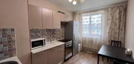 однокомнатная квартира в Ленинградской области по адресу: Европейский проспект, 14, к 4