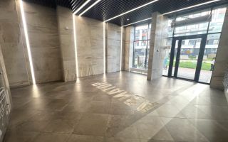 однокомнатная квартира в Ленинградская область по адресу: Екатерининская ул., 32