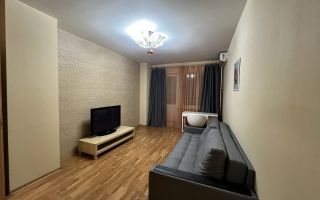 однокомнатная квартира в Санкт-Петербург по адресу: Гражданский проспект, 36