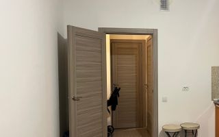 однокомнатная квартира в Санкт-Петербург по адресу: Старорусский проспект, 5, к 1