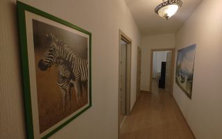 однокомнатная квартира в Санкт-Петербург по адресу: Арцеуловская аллея, 23, к 1