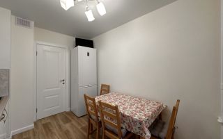 двухкомнатная квартира в Санкт-Петербург по адресу: Долгоозёрная ул., 1