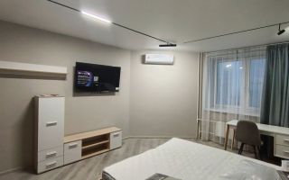 однокомнатная квартира в Санкт-Петербург по адресу: Гражданский проспект, 116, к 5