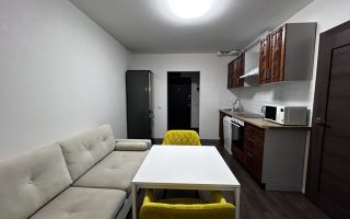 однокомнатная квартира в Санкт-Петербург по адресу: Юнтоловский проспект, 48, к 1