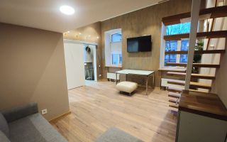 однокомнатная квартира в Санкт-Петербург по адресу: Михайловская ул., 3