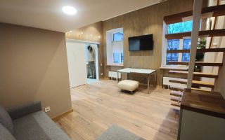 однокомнатная квартира в Санкт-Петербург по адресу: Михайловская ул., 3