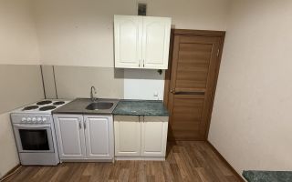 однокомнатная квартира в Санкт-Петербург по адресу: Корнея Чуковского ул., 3, к 1