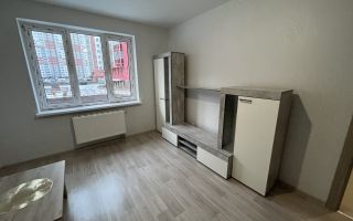 однокомнатная квартира в Санкт-Петербург по адресу: Ленинский проспект, 68