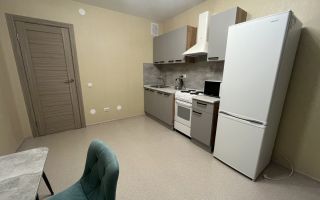 однокомнатная квартира в Санкт-Петербург по адресу: Ленинский проспект, 68