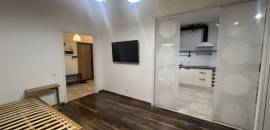 однокомнатная квартира в Санкт-Петербург по адресу: Васенко ул., 12