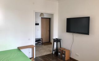 однокомнатная квартира в Санкт-Петербург по адресу: Васенко ул., 12