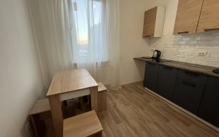 однокомнатная квартира в Санкт-Петербург по адресу: Чарушинская ул., 26, к 1