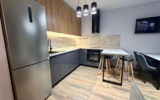 однокомнатная квартира в Санкт-Петербург по адресу: Шкапина ул., 15