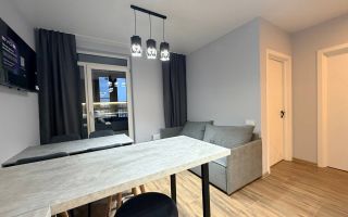 однокомнатная квартира в Санкт-Петербург по адресу: Шкапина ул., 15