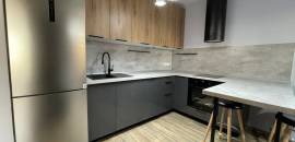 однокомнатная квартира в Санкт-Петербурге по адресу: Шкапина ул., 15