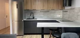 однокомнатная квартира в Санкт-Петербурге по адресу: Шкапина ул., 15