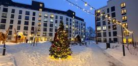 однокомнатная квартира в Санкт-Петербурге по адресу: Шкапина ул., 15