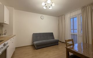 однокомнатная квартира в Санкт-Петербург по адресу: Дыбенко ул., 5, к 1, строение 1