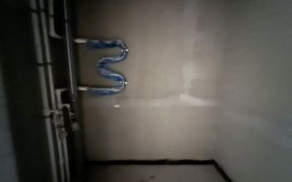 студия в Ленинградская область по адресу: Шоссе в Лаврики ул., 95